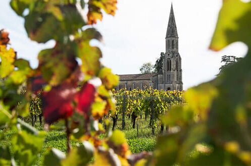 Blick durch Weinreben auf eine Kirche in Lalande-de-Pomerol, Bordeaux. Erleben Sie die Exklusivität dieser renommierten Weinregion!