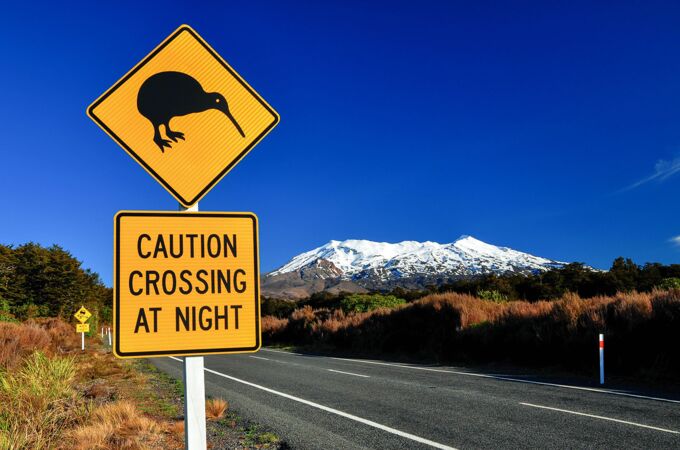 Ein neuseeländisches Straßenschild mit einer Kiwi-Vogel-Silhouette und der Warnung „Caution Crossing at Night“, im Vordergrund einer ländlichen Straße. Im Hintergrund erheben sich schneebedeckte Berge unter einem strahlend blauen Himmel.