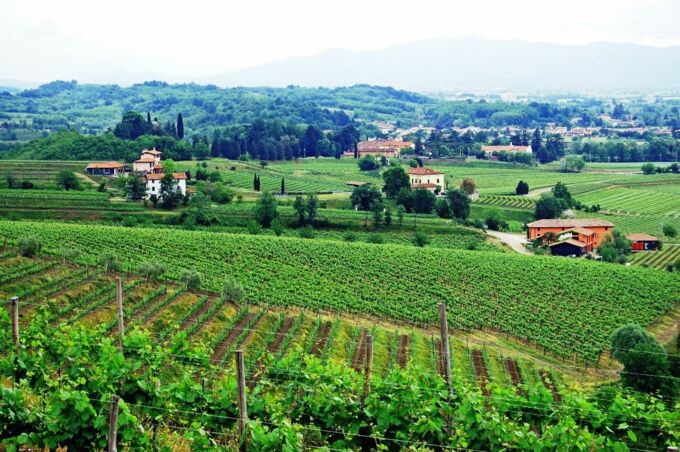 Weingut Pighin Collio Estate in Italien mit üppigen grünen Weinbergen im Vordergrund und malerischer Landschaft im Hintergrund.