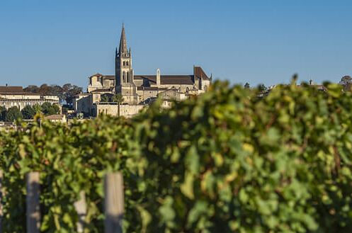 Weinberge im Vordergrund, Blick auf das Dorf St. Emilion mit seiner markanten Kirche unter blauem Himmel.