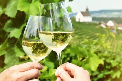 Zwei Hände halten Wein­gläser mit Weißwein in einem Weinberg hoch. Ideal für entspannte Momente.