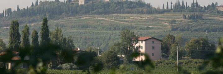 Historische Tenuta Marcati vor Weinbergen und dichtem Grün, perfekte Kulisse für authentische Weine aus Italien.