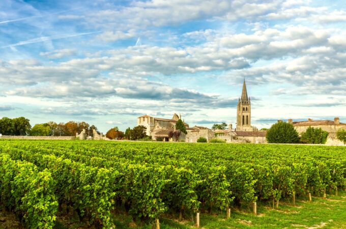 Im Vordergrund grüne Weinreben und im Hintergrund das historische Dorf Saint-Émilion in der Region Bordeaux, Frankreich. Eine alte Kirche mit einem hohen Glockenturm ragt über die Dächer und prägt die malerische Landschaft unter leicht bewölktem Himmel.