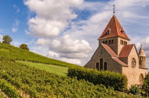 Historische Kirche in den Weinbergen der Weinregion Rheinhessen bei klarem Himmel, ein wunderschönes Reiseziel für Weinliebhaber.