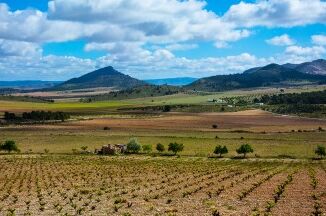 Die weite Landschaft der Ego Bodegas in Spanien zeigt grüne Weinberge vor einer Bergkulisse unter blauem Himmel mit Wolken.