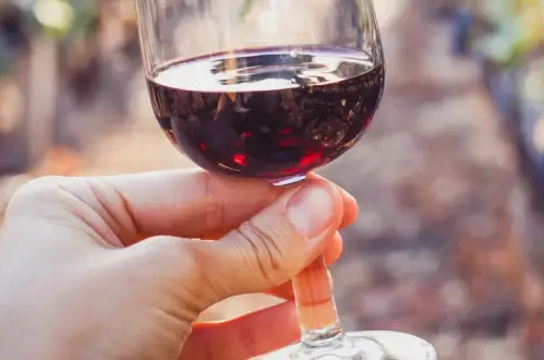 Ein Glas südafrikanischer Rotwein wird in der Hand gehalten, im Hintergrund sind Weintrauben und ein Weinberg zu sehen.