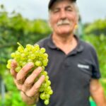 Ein Winzer hält leuchtend grüne Weintrauben in der Hand. Dahinter ein Weinberg mit grünen Blättern. Frische Ernte für hochwertiges Wein-Erlebnis!