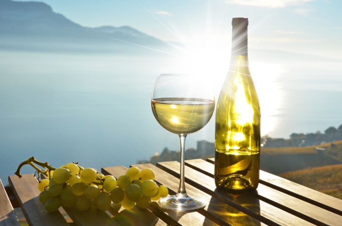 Eine Flasche Weißwein und ein gefülltes Weinglas stehen auf einem Holztisch in der Sonne, daneben liegen Weintrauben. Im Hintergrund erstreckt sich eine atemberaubende Landschaft mit Blick auf einen See und sanfte Berge in der Ferne.