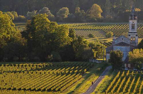 Sonnenuntergang über einem malerischen Weingut in Sauternes, Bordeaux, mit einem historischen Gebäude und endlosen Weinreben. Perfekt für edle Weine!