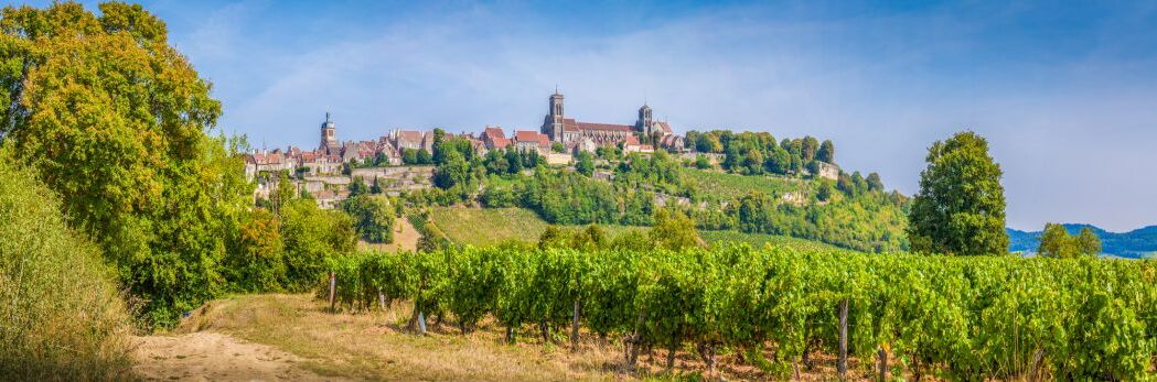 Panoramablick auf Burgunderweinberge mit malerischer Stadt im Hintergrund, grünen Reben und klarem Himmel, ideal für Weinliebhaber.