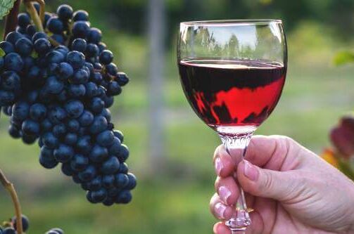 Ein Glas halbtrockener Dornfelder-Rotwein vor reifen Weintrauben im Weinberg, ideal für genussvolle Abende.