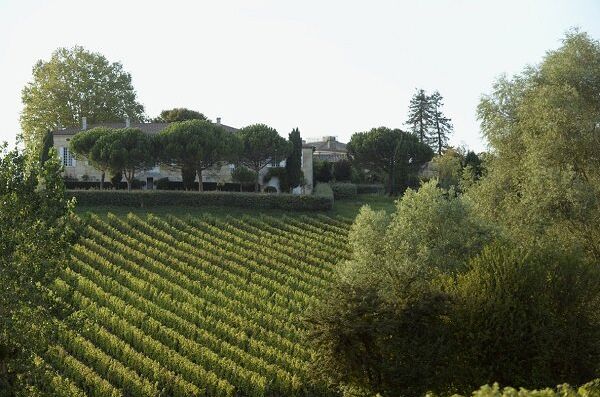 Blick auf das Gonfrier Chateau Tanesse in Frankreich, umgeben von grünen Weinreben und Bäumen im Vordergrund. Ideal für Fine Wine-Liebhaber!