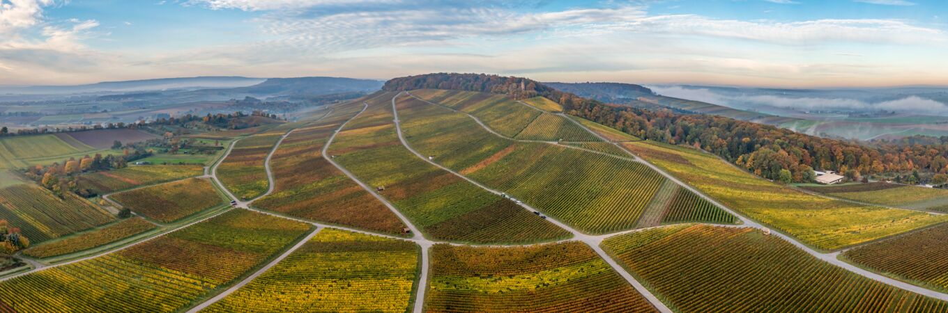 Panoramaaufnahme des Weinguts Christian Hirsch mit seinen weitläufigen, herbstlich gefärbten Weinbergen und umliegender Landschaft. Ideal für Genießer.