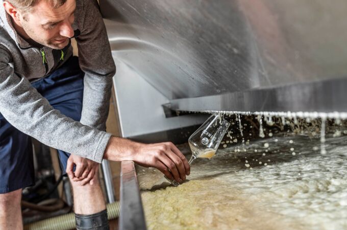 Der Winzer vom Weingut Zur Schwane füllt frisch gekelterten Wein in ein Glas während der laufenden Weinlese.