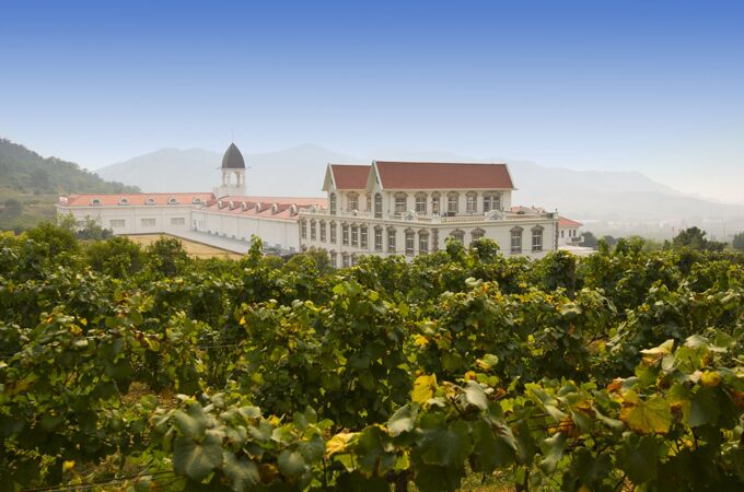 Ein weitläufiger Blick auf ein Weingut in China, umgeben von grünen Weinreben. Im Hintergrund steht ein elegantes, helles Gebäude mit roten Dächern und einem markanten Turm, eingebettet in eine hügelige Landschaft mit leichtem Dunst.