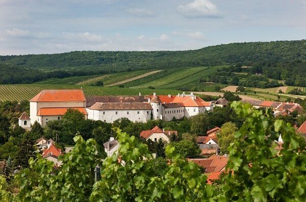 Weinberg-Landschaft in Österreich mit dem Weingut Lenz Moser im Vordergrund, umgeben von grünen Weinreben und Bauernhäusern, ideal für Weinliebhaber.