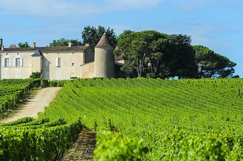 Weingut in Sauternes, umgeben von grünen Weinbergen und blauen Himmel. Ideal für edle Bordeaux Weine.