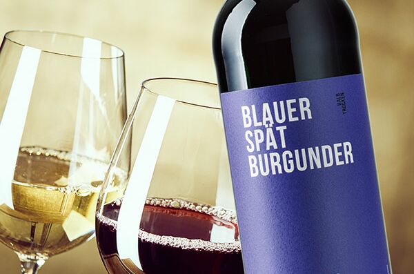 Eine Flasche Schneekloth Blauer Spätburgunder neben zwei Weingläsern, eines mit Rotwein und eines mit Weißwein. Ideal für Genießer!