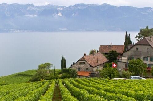 Weinberge in der Schweiz mit traditionellem Gebäude, Schweizer Flagge und Alpen im Hintergrund, ideal für Liebhaber von Schweizer Weinen.