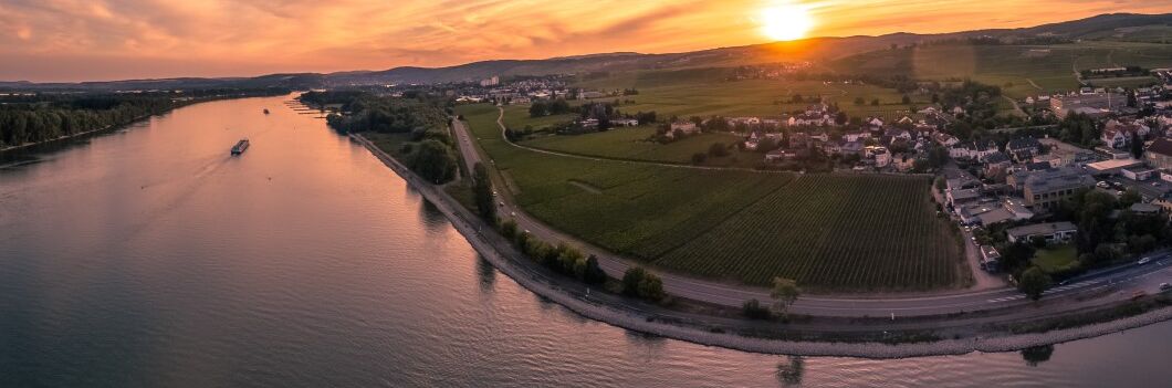 Luftaufnahme des Weinguts Allendorf im Rheingau bei Sonnenuntergang mit Weinbergen und dem Rhein im Vordergrund. Ideale Weine von hoher Qualität!