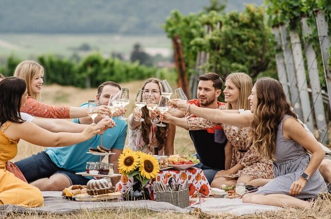 Eine Gruppe von Freunden stößt mit Weingläsern an, während sie ein Picknick im Vera Keller Weinberg genießen, umgeben von üppigen Weinreben.