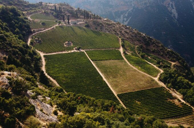 Luftaufnahme der grünen Weinberge des Cavino Weinguts in Griechenland, umgeben von Bergen und Zypressen, perfekt für Fine Wines.