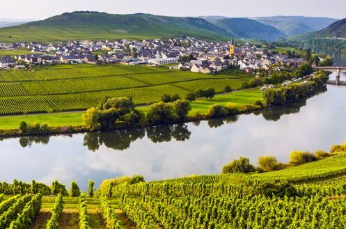 Blick auf deutsche Weinregion mit grünen Weinbergen, einem ruhigen Fluss und einem malerischen Dorf im Hintergrund. Entdecken Sie deutsche Spitzenweine!