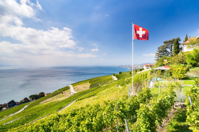 Ein malerischer Blick auf die terrassenförmig angelegten Weinberge der Schweizer Weißweinregion Lavaux, mit dem Genfersee im Hintergrund unter einem strahlend blauen Himmel. Eine Schweizer Flagge weht im Weht und steht im grünen Weinberg.