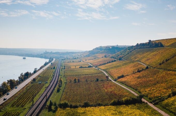 Luftaufnahme der Weinberge des Weinguts Seebrich am Roten Hang in Deutschland. Entdecken Sie exquisite Weine.