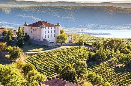 Ein malerisches Weingut in Frankreich mit grünen Weinbergen und einem charmanten Chateau bei Sonnenuntergang. Perfektes Urlaubsziel und exquisite Weinauswahl!