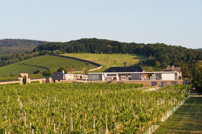 Das Bild zeigt den modernen Steinbergkeller von Kloster Eberbach, umgeben von weitläufigen Weinbergen in Deutschland. Entdecken Sie exklusive Weine!