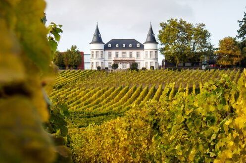 Das Bild zeigt ein Schloss in der Weinregion Rheingau, umgeben von grünen Weinreben, perfekt für Weingenießer.