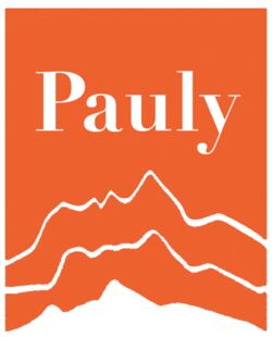 Orangefarbenes Logo der Weinkellerei Axel Pauly mit stilisiertem Bergmotiv und weißem Text "Pauly". Perfekt für Weinliebhaber!