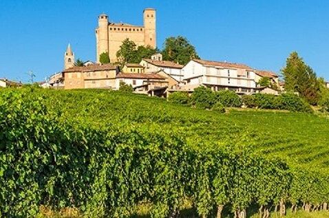 Weinberg in Italien mit malerischen Gebäuden im Hintergrund bei sonnigem Wetter. Entdecken Sie authentische italienische Weine!