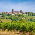 Historische Burgunderweinberge mit grünen Reben und malerischem Dorf im Hintergrund, ideale Landschaft für Burgunderweine-Liebhaber.