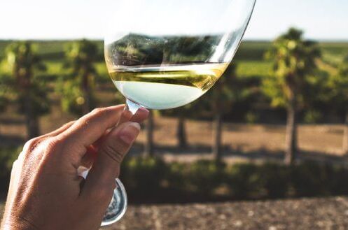 Eine Hand hält ein Glas Grauburgunder Weißwein, mit Weinbergen im Hintergrund bei sonnigem Wetter. Perfekt für einen Sommerabend!