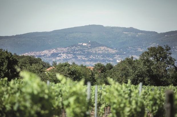 Weingut Marchesi Antinori mit Blick auf die toskanische Landschaft und die Stadt in der Ferne.