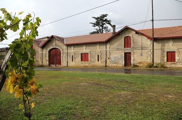 Historisches Château Materre der Vignobles Gonfrier mit steinernem Gebäude und grünen Weinreben im Vordergrund.